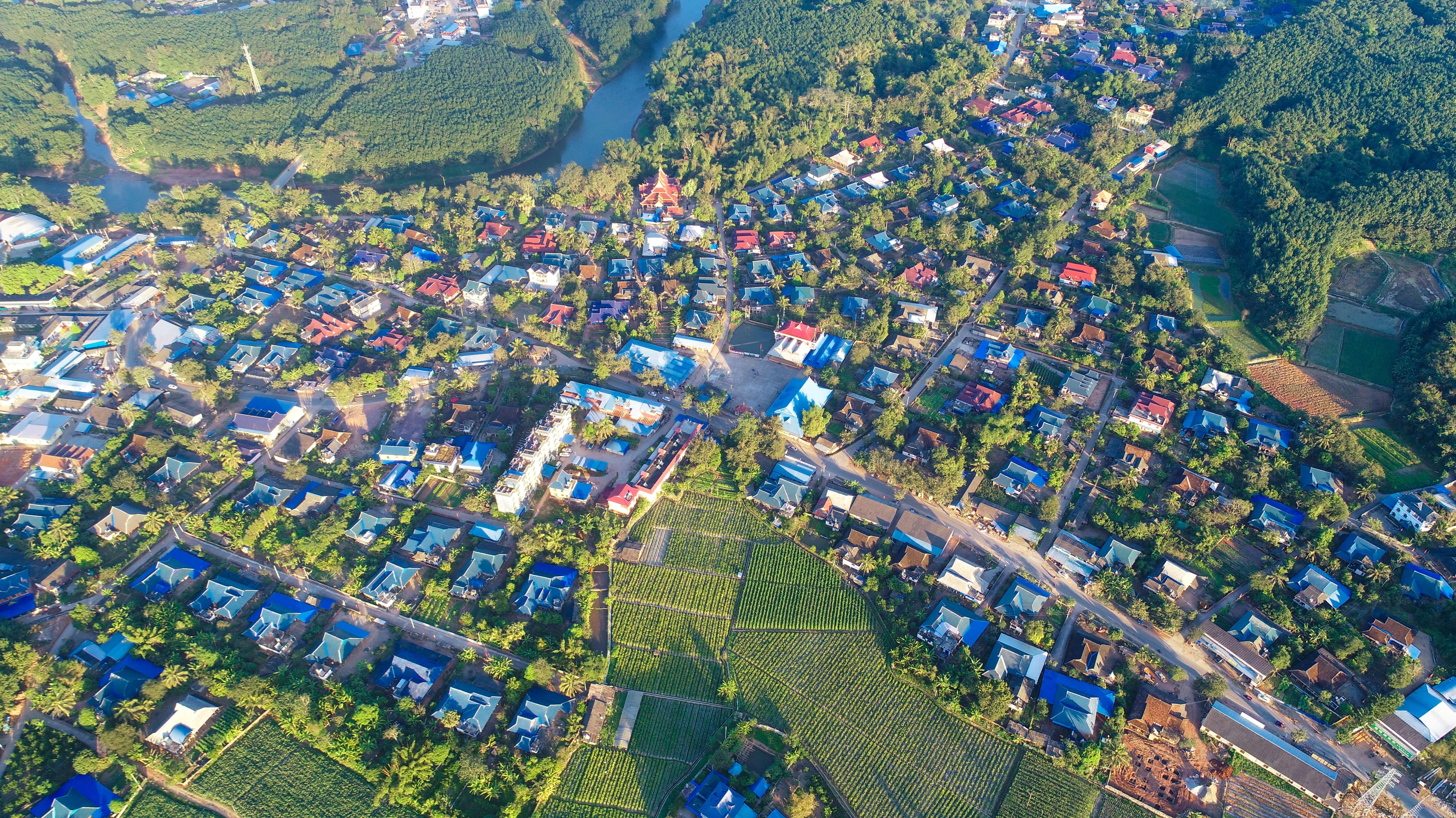 有一种叫云南的生活·一种“象”往的幸福｜冷链物流助力勐捧果蔬一路领“鲜”