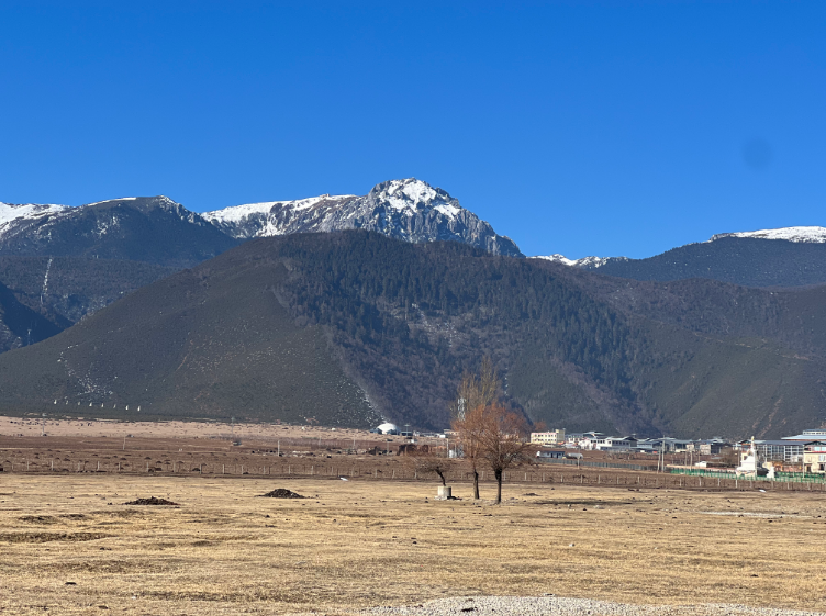 香格里拉：借势民宿 丰盈乡村2.png