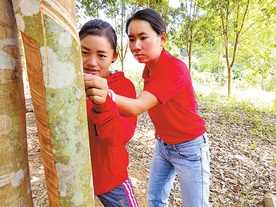 接续奋斗 把总书记交办的事情办好丨一条路：黄金通道 活力激涌