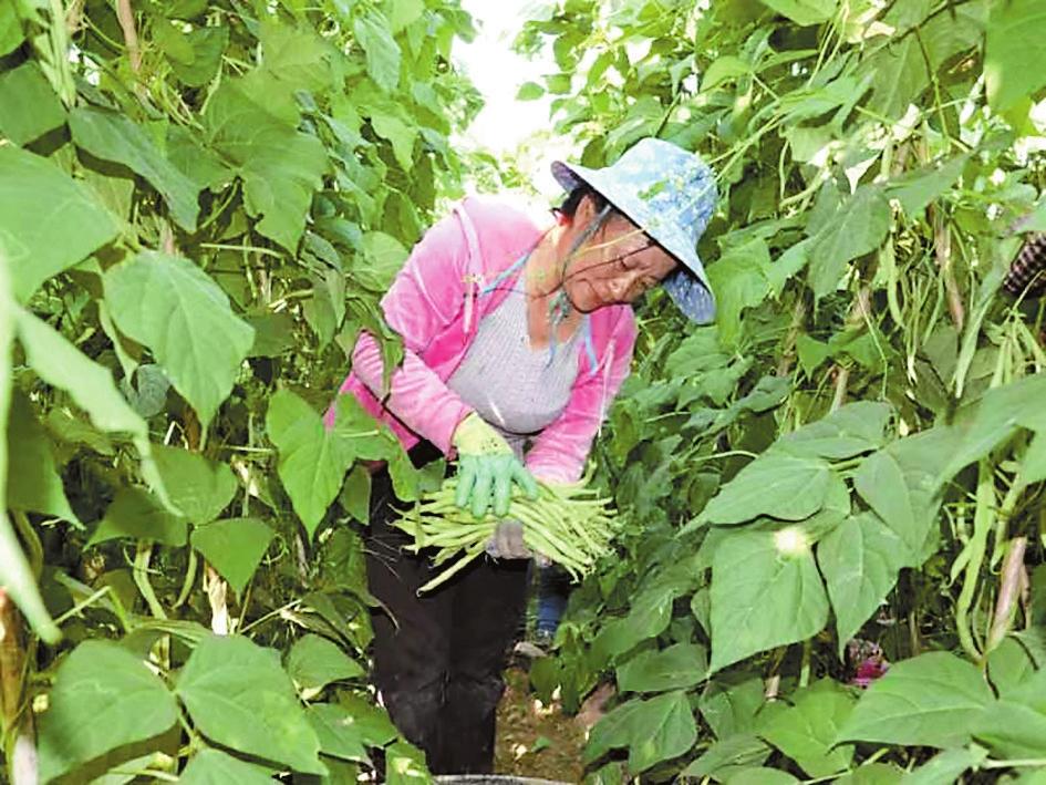 接续奋斗 把总书记交办的事情办好丨一条路：黄金通道 活力激涌