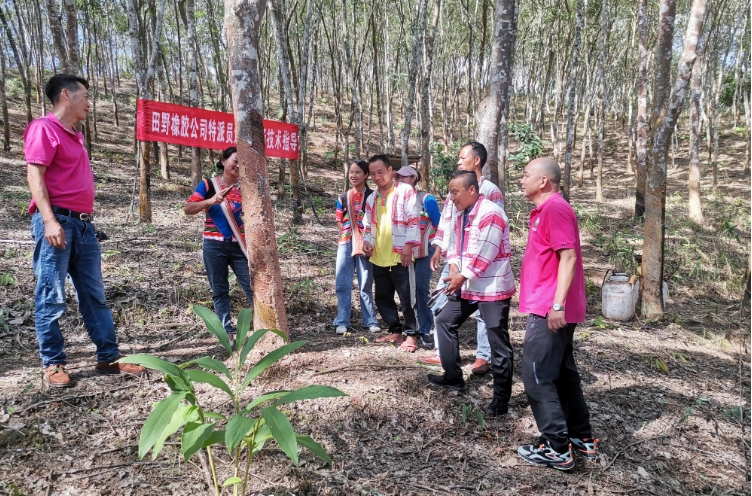 图说：对胶农进行培训 供图.png