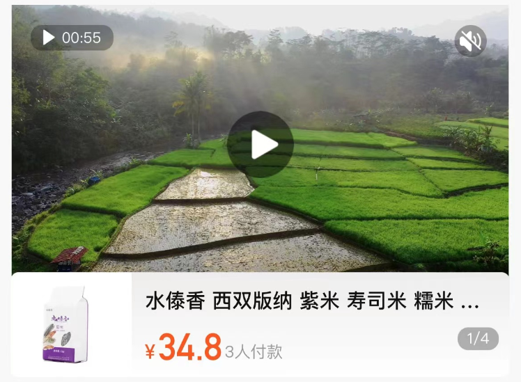 勐海县勐养村：党组织领办合作社，“一粒米”里说丰年