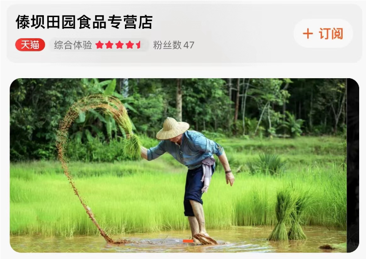 勐海县勐养村：党组织领办合作社，“一粒米”里说丰年