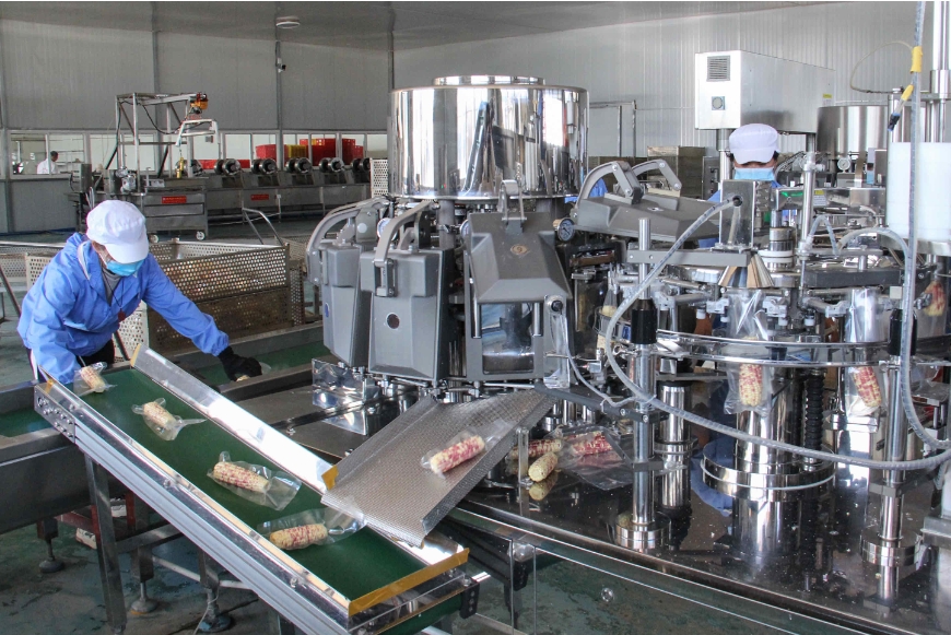 有一种叫云南的生活·一种“象”往的幸福｜勐阿镇：小糯玉米成为助农增收大产业