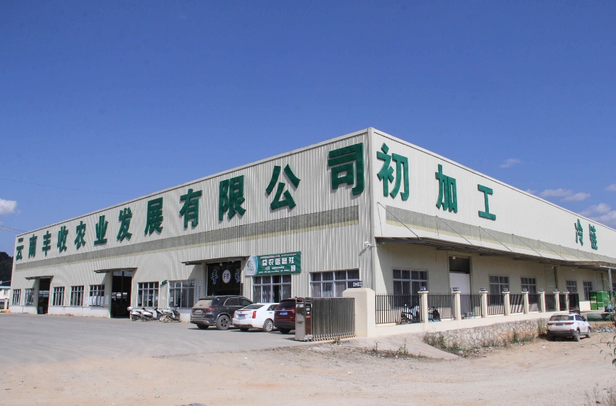 有一种叫云南的生活·一种“象”往的幸福｜勐阿镇：小糯玉米成为助农增收大产业