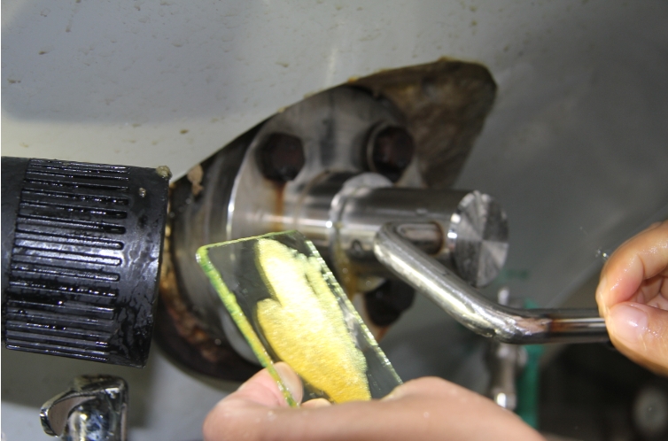 图说：观察白糖颗粒是否均匀 王琳 摄.png