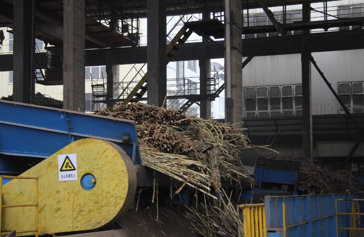 图说：压榨甘蔗 王琳 摄.png