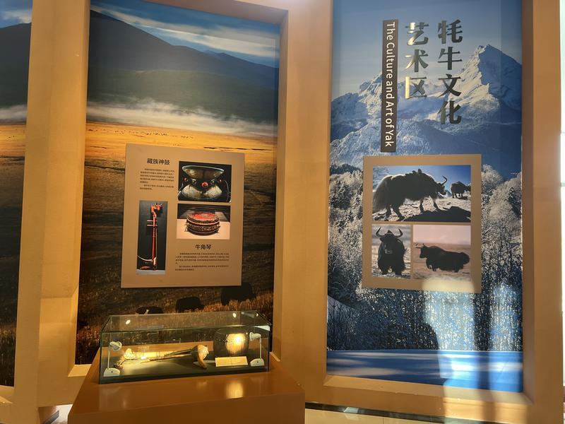 富裕美丽之城 和谐香格里拉 | 走进一座牦牛博物馆