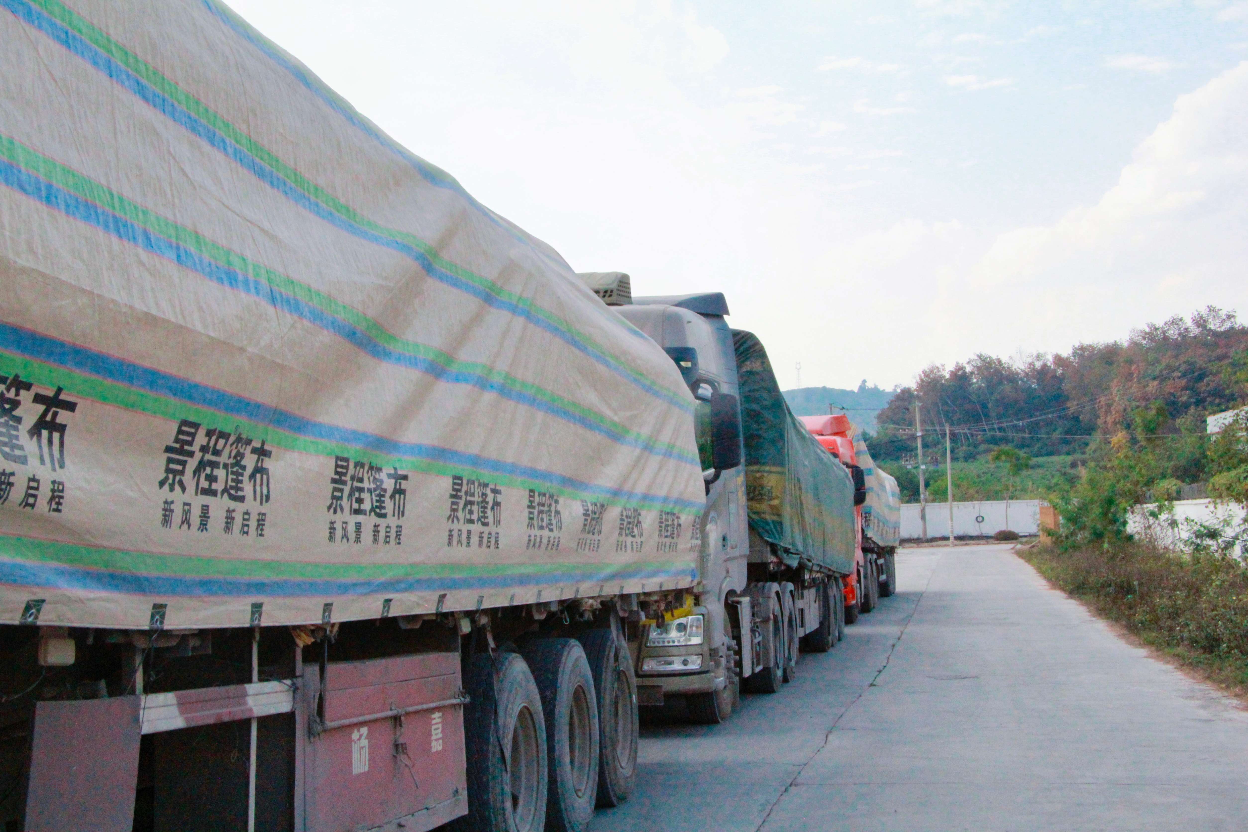 有一种叫云南的生活·一种‘象’往的幸福|中老铁路:物畅其流 活力涌动