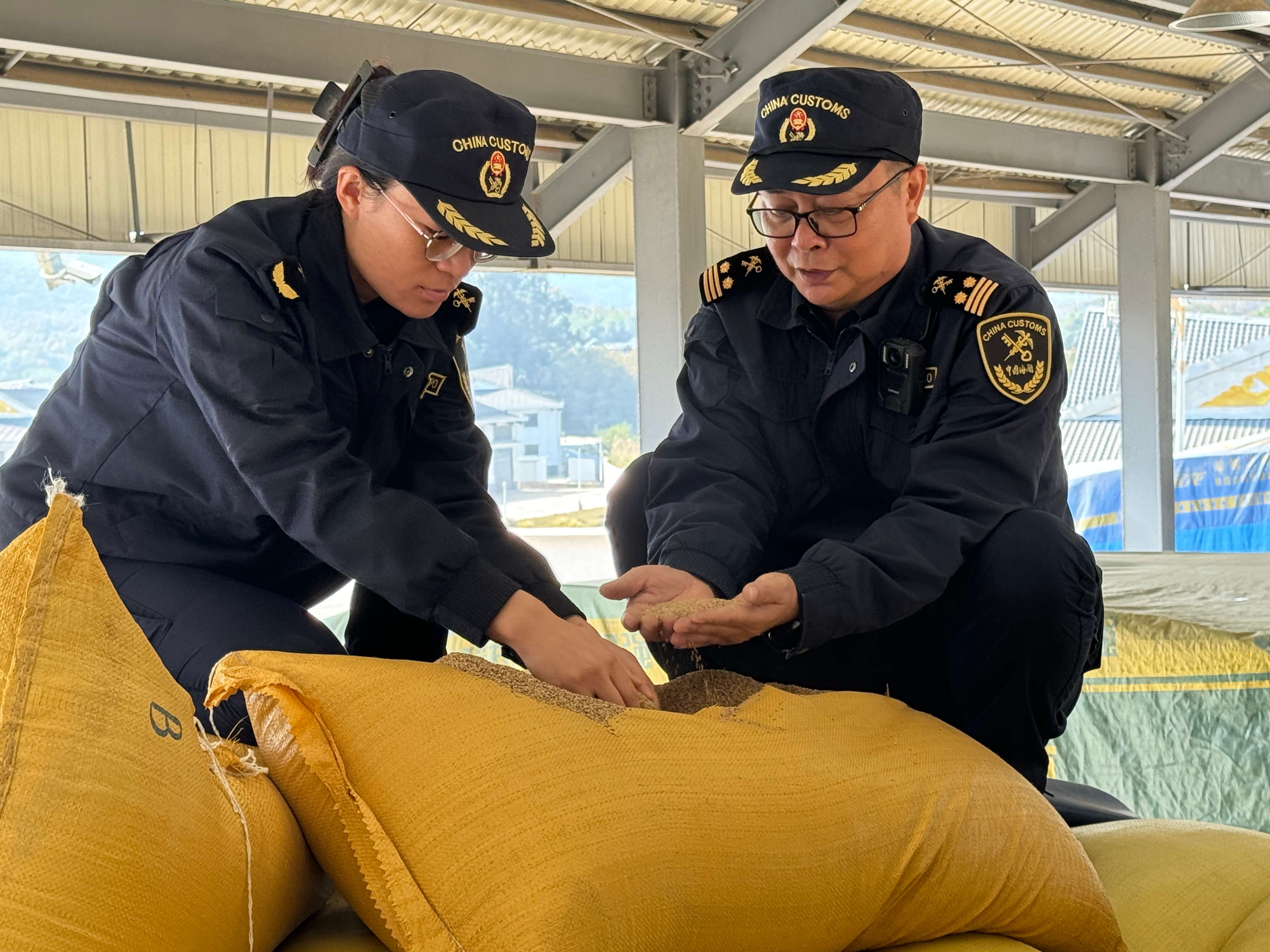 有一种叫云南的生活·一种“象”往的幸福｜边民互市往来勤 口岸经济更繁荣