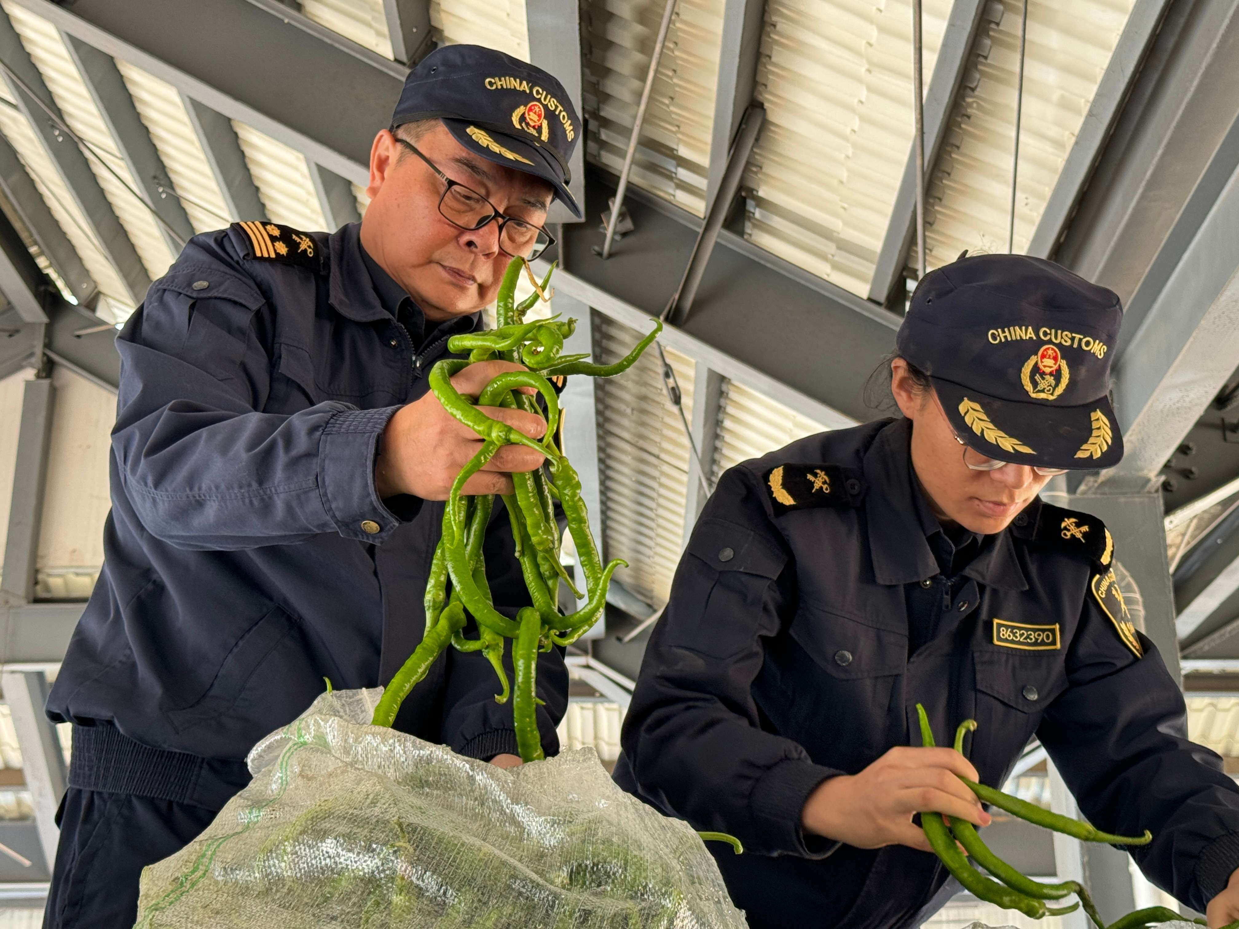 有一种叫云南的生活·一种“象”往的幸福｜边民互市往来勤 口岸经济更繁荣