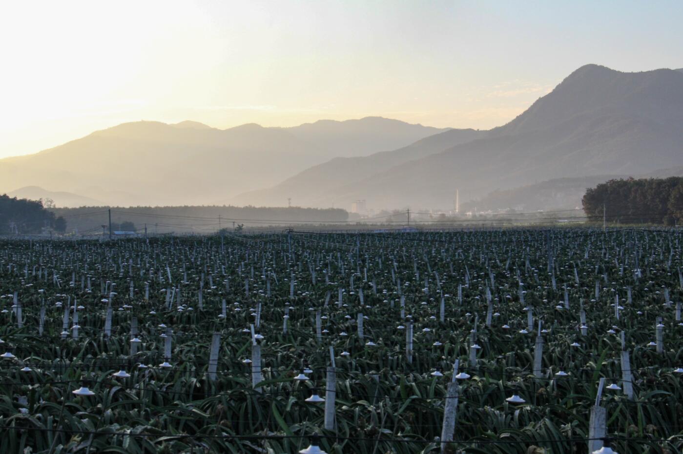 有一种叫云南的生活·一种“象”往的幸福｜打洛镇：推进边疆党建长廊建设