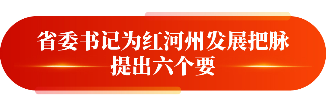 省委书记为红河州发展把脉，提出六个要