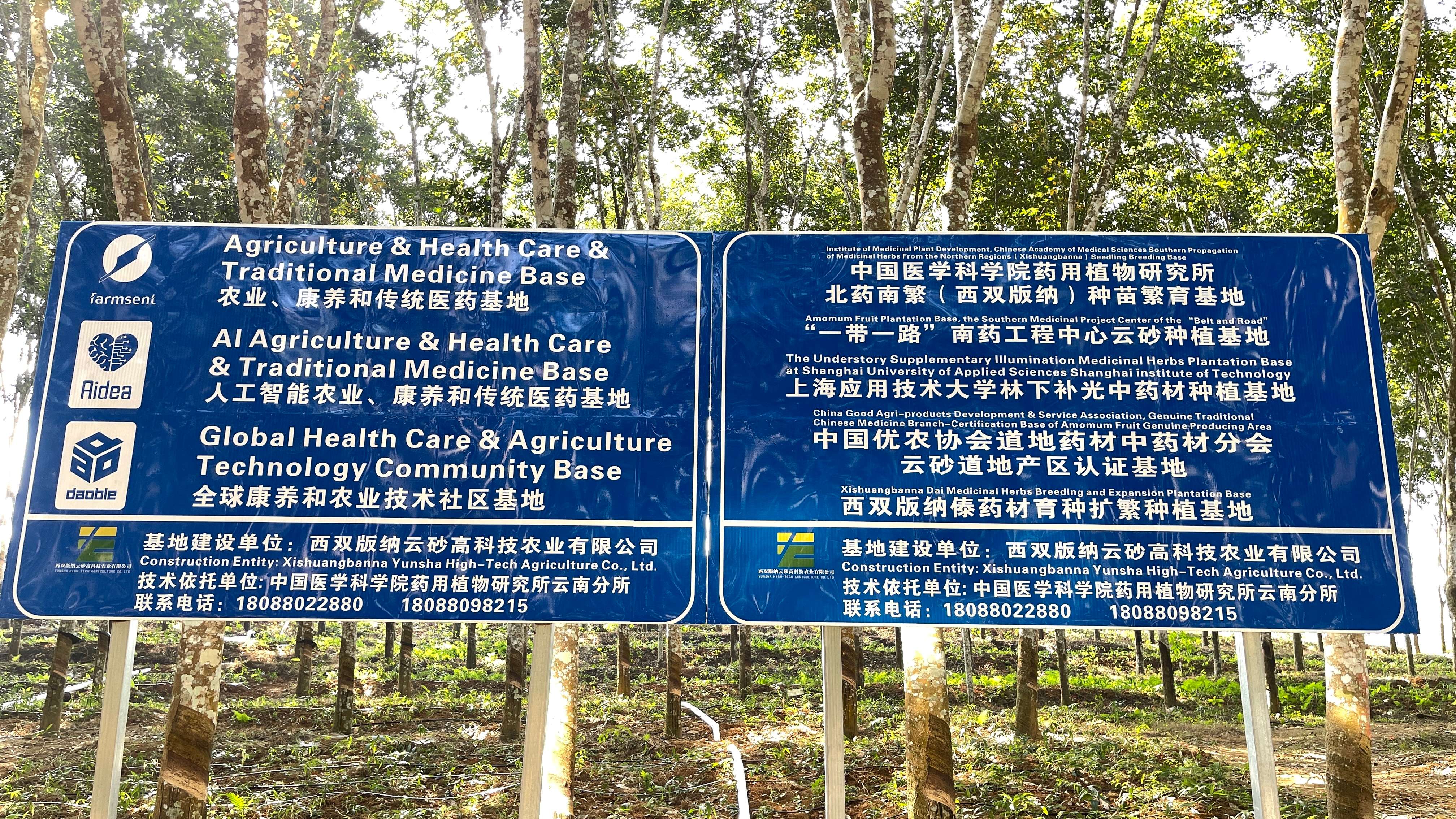 有一种叫云南的生活·一种“象”往的幸福|景哈乡：努力建设美丽边境民族之乡