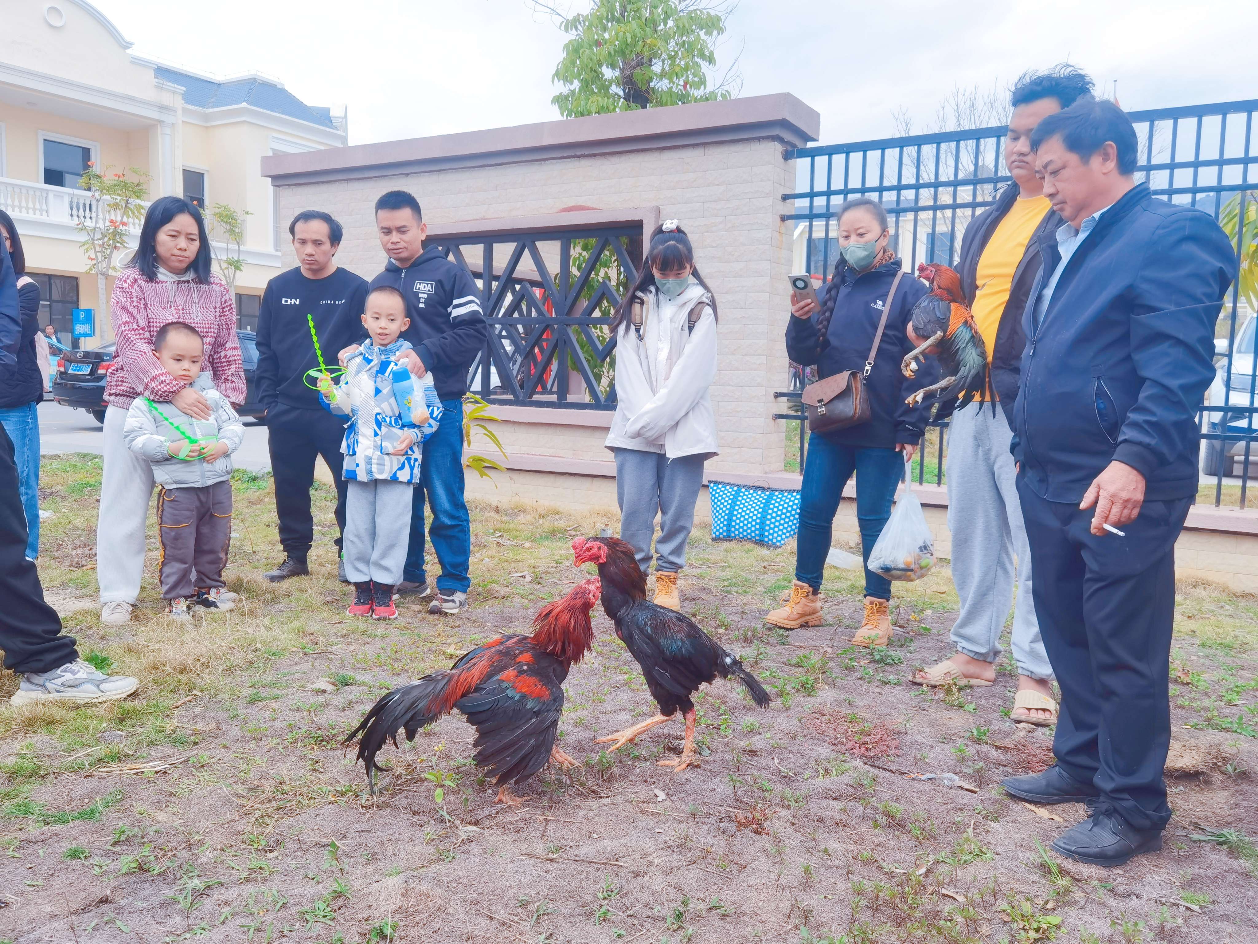 中老铁路上的“花山节”民俗活动乐翻八方游客 (8).jpg