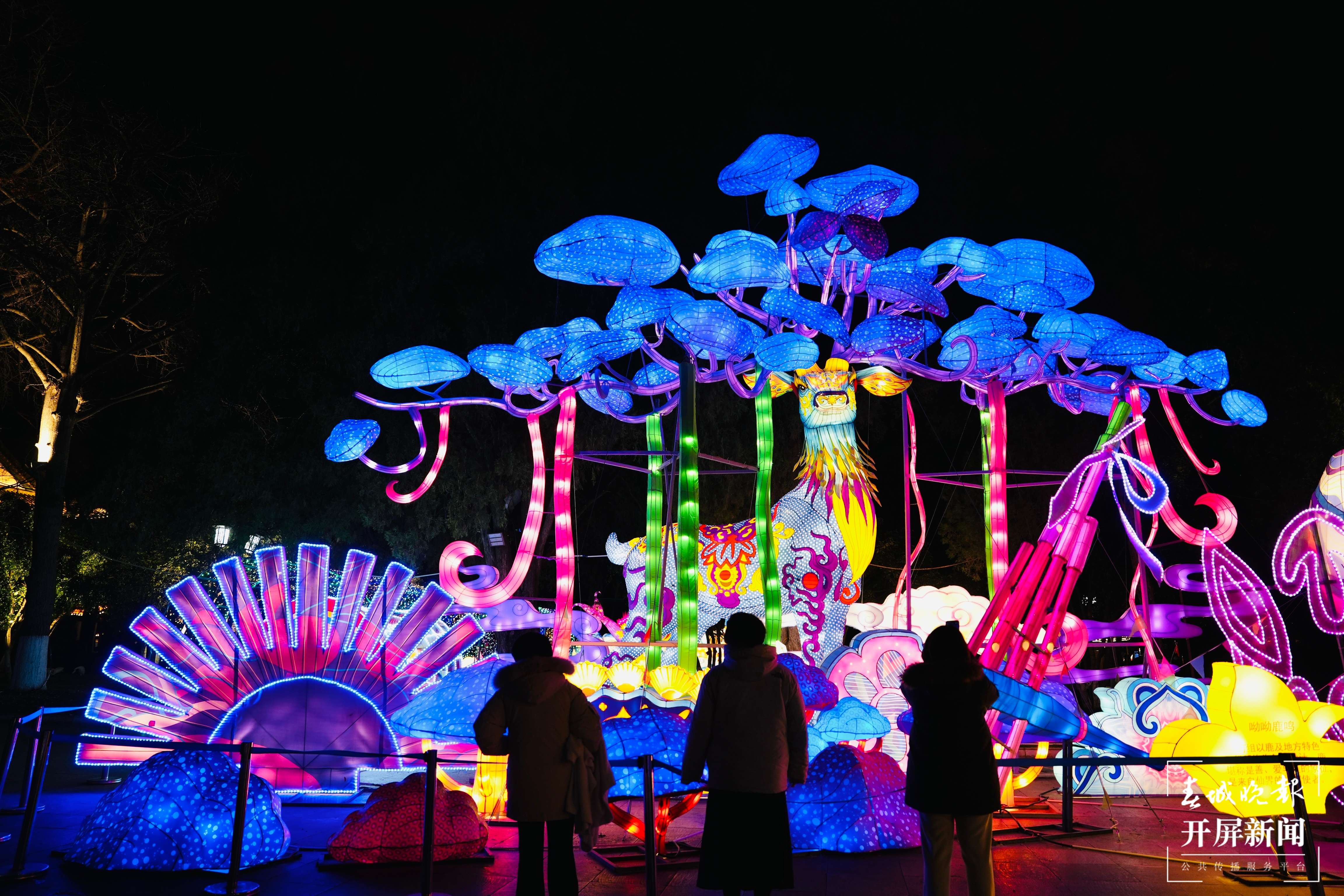 2024大观楼灯展（花灯）开屏新闻 龙宇丹 摄