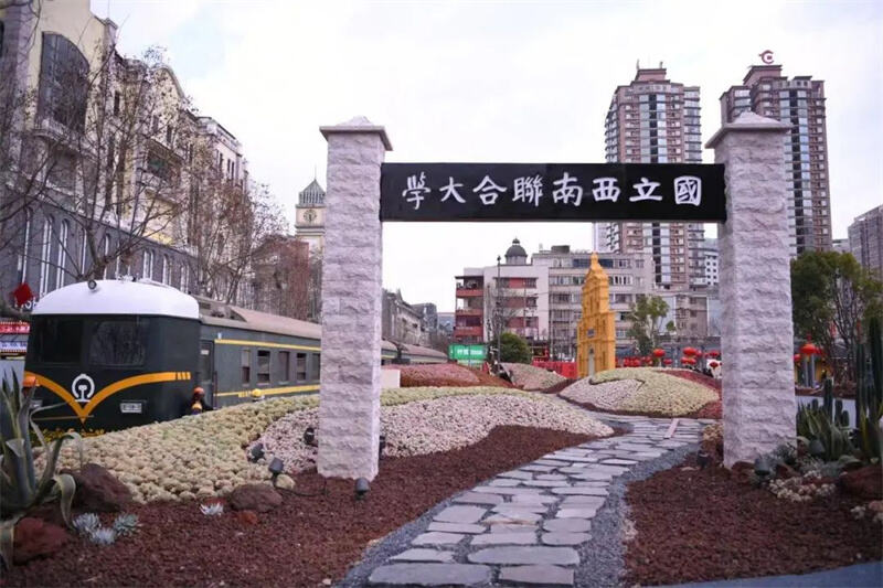 年产4.2亿盆！滇池南岸这个多肉村藏不住啦