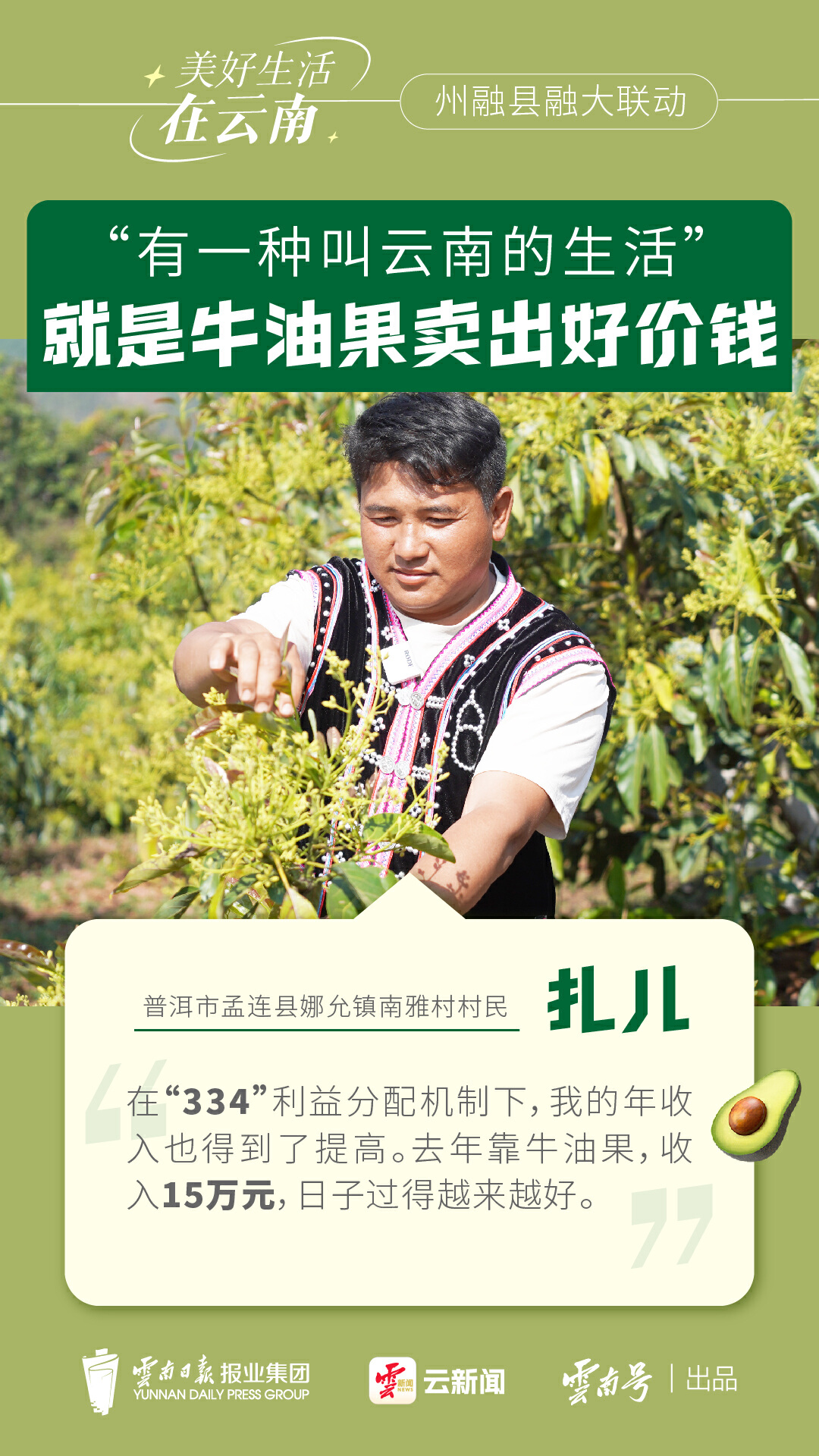 “有一种叫云南的生活”就是牛油果卖出好价钱