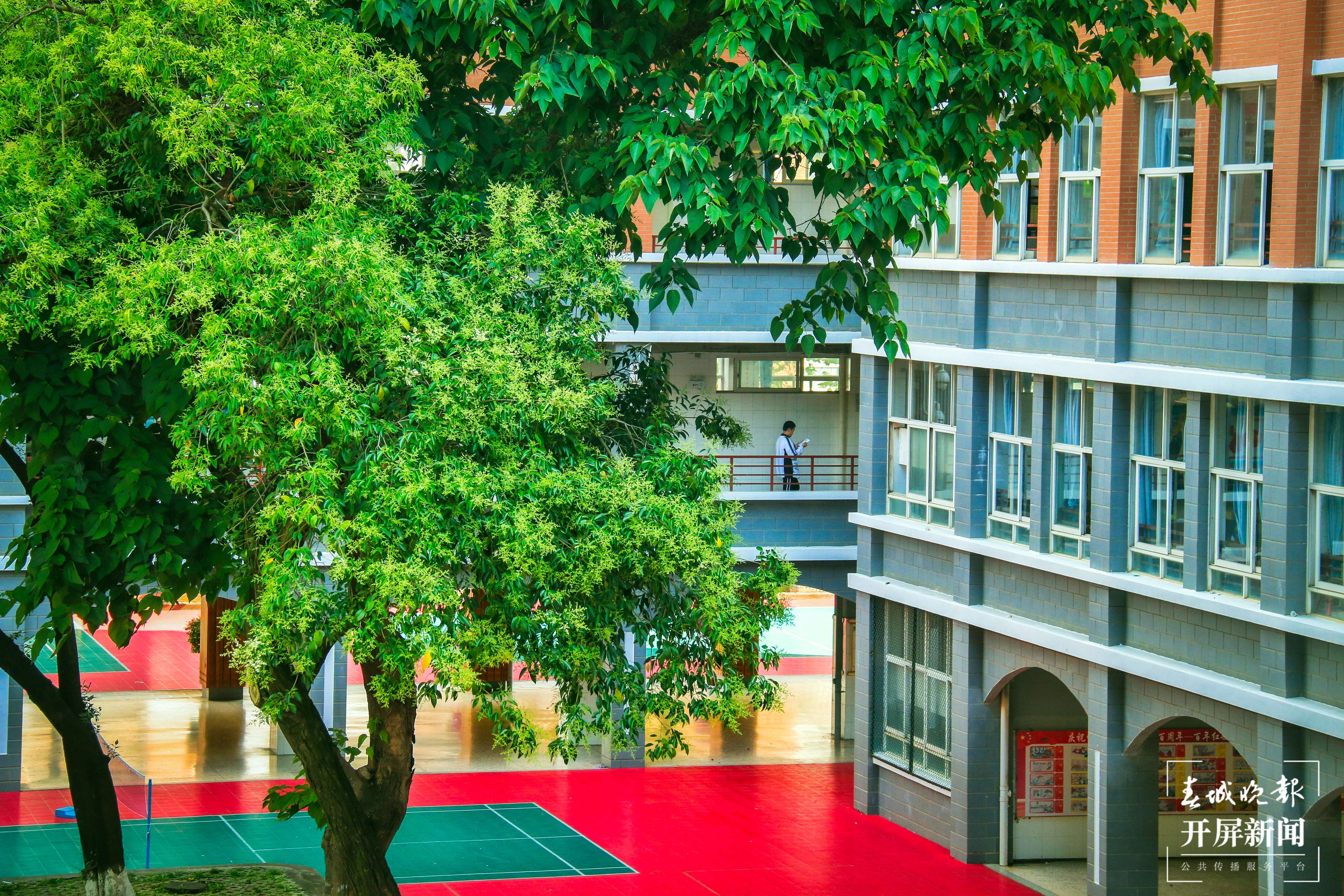 云大附中 (2).jpg