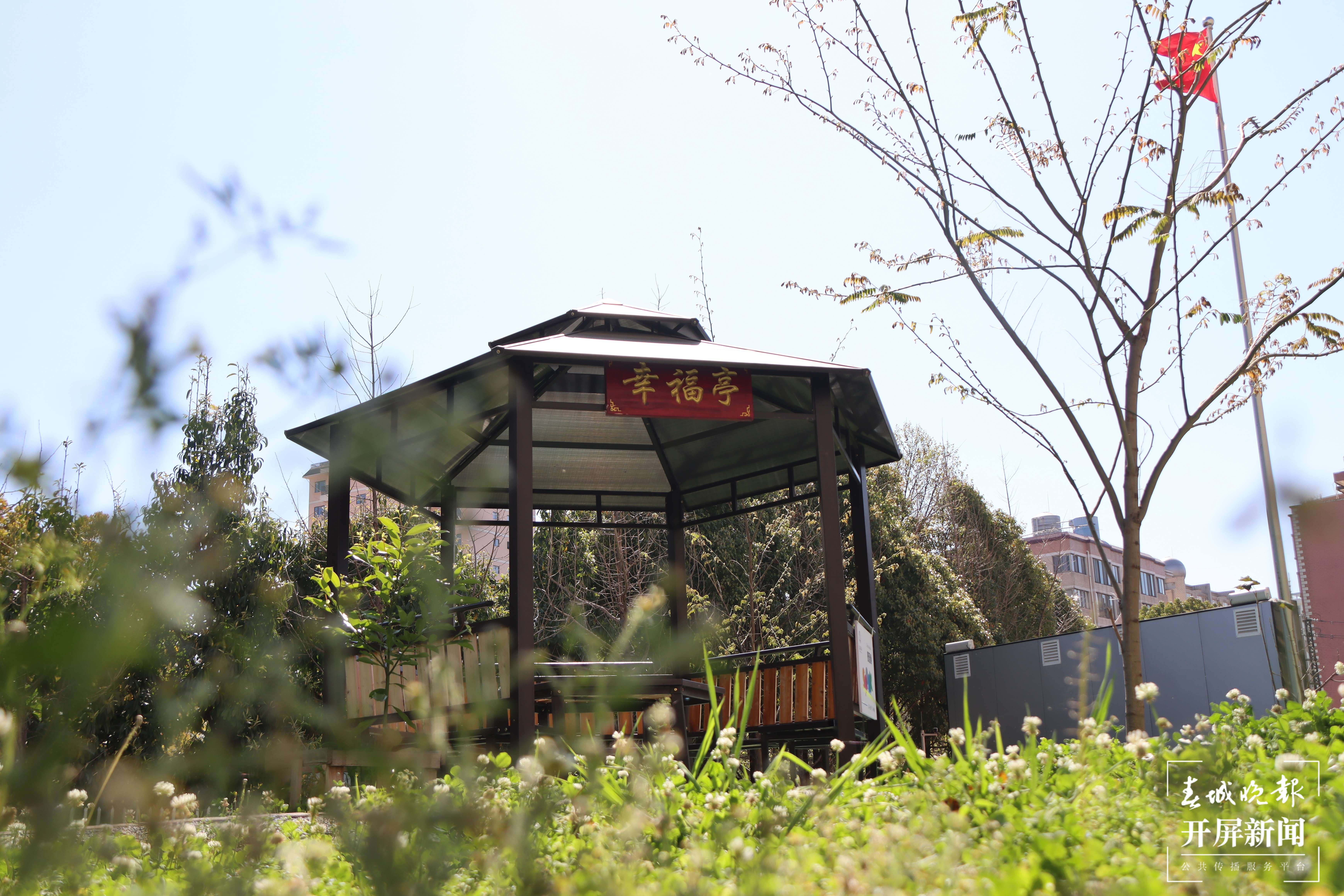 昆理工附小春色