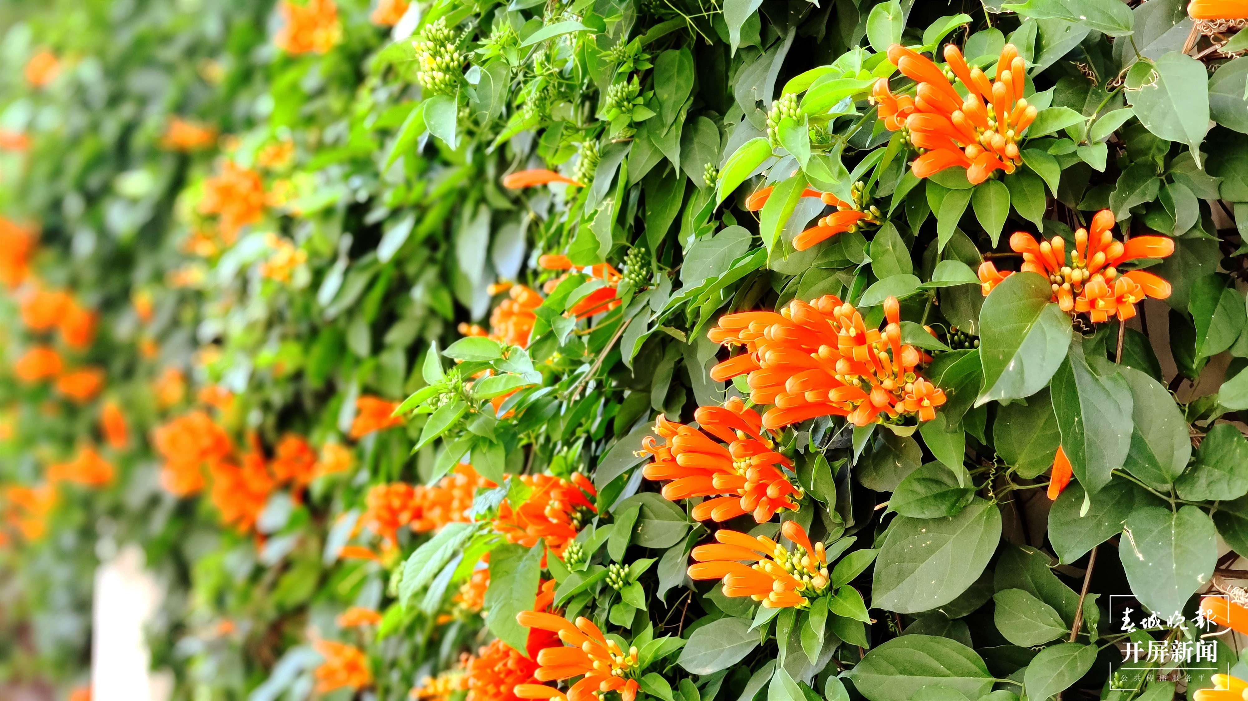 呈贡区大渔小学