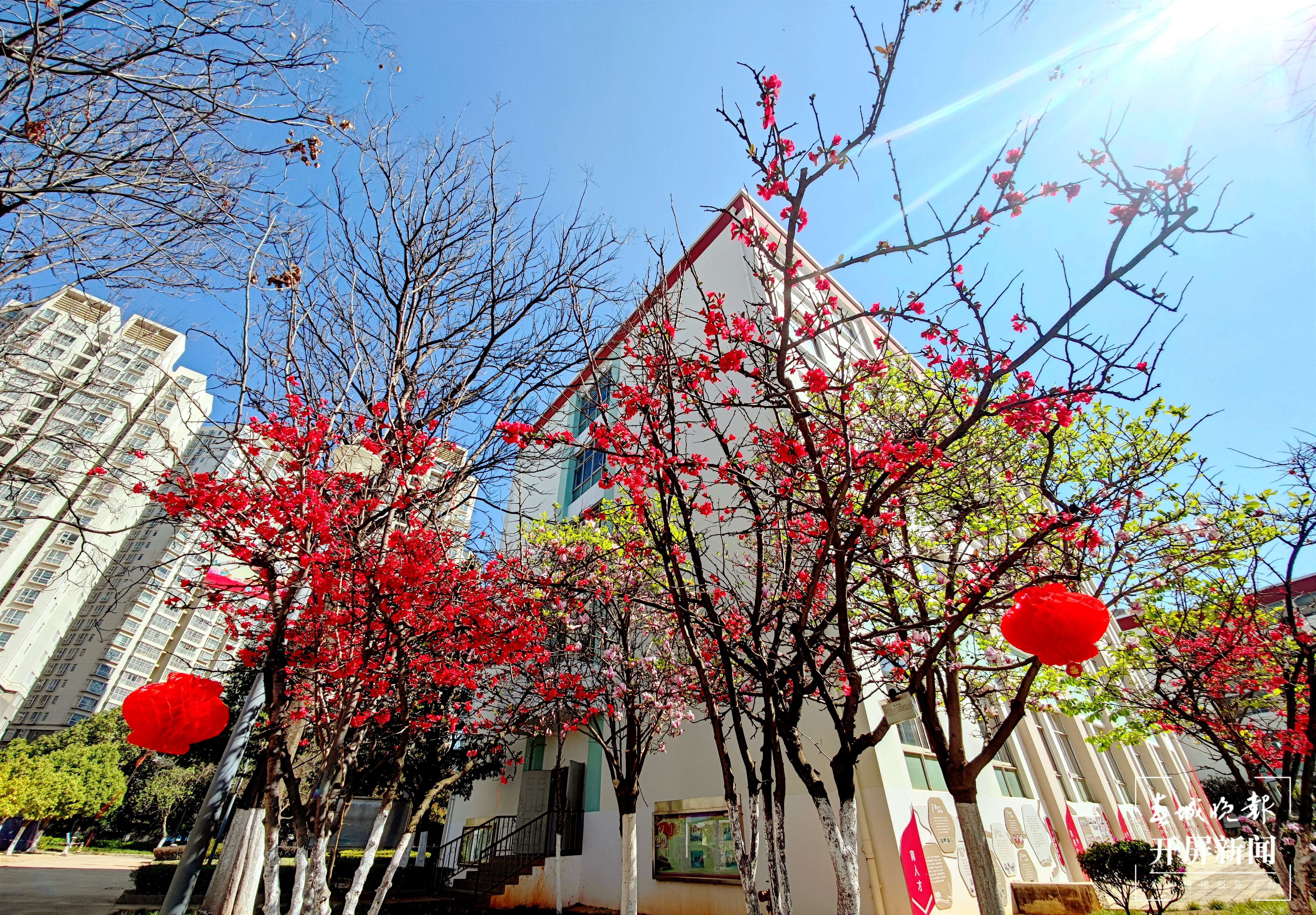 呈贡区大渔小学