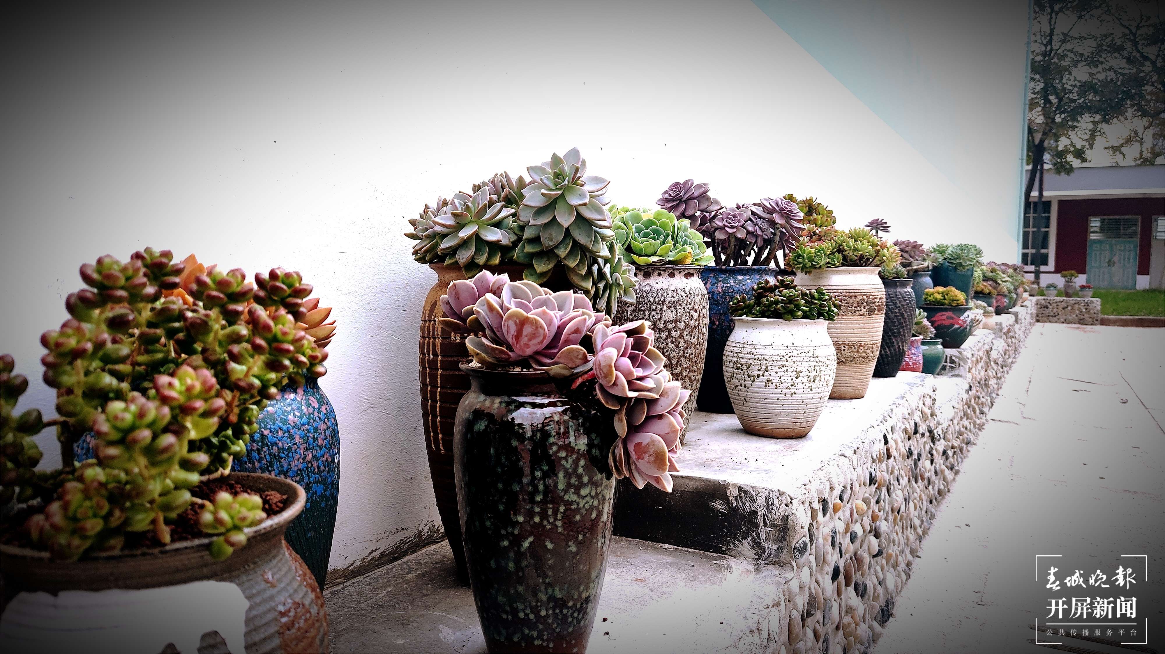 呈贡区大渔小学