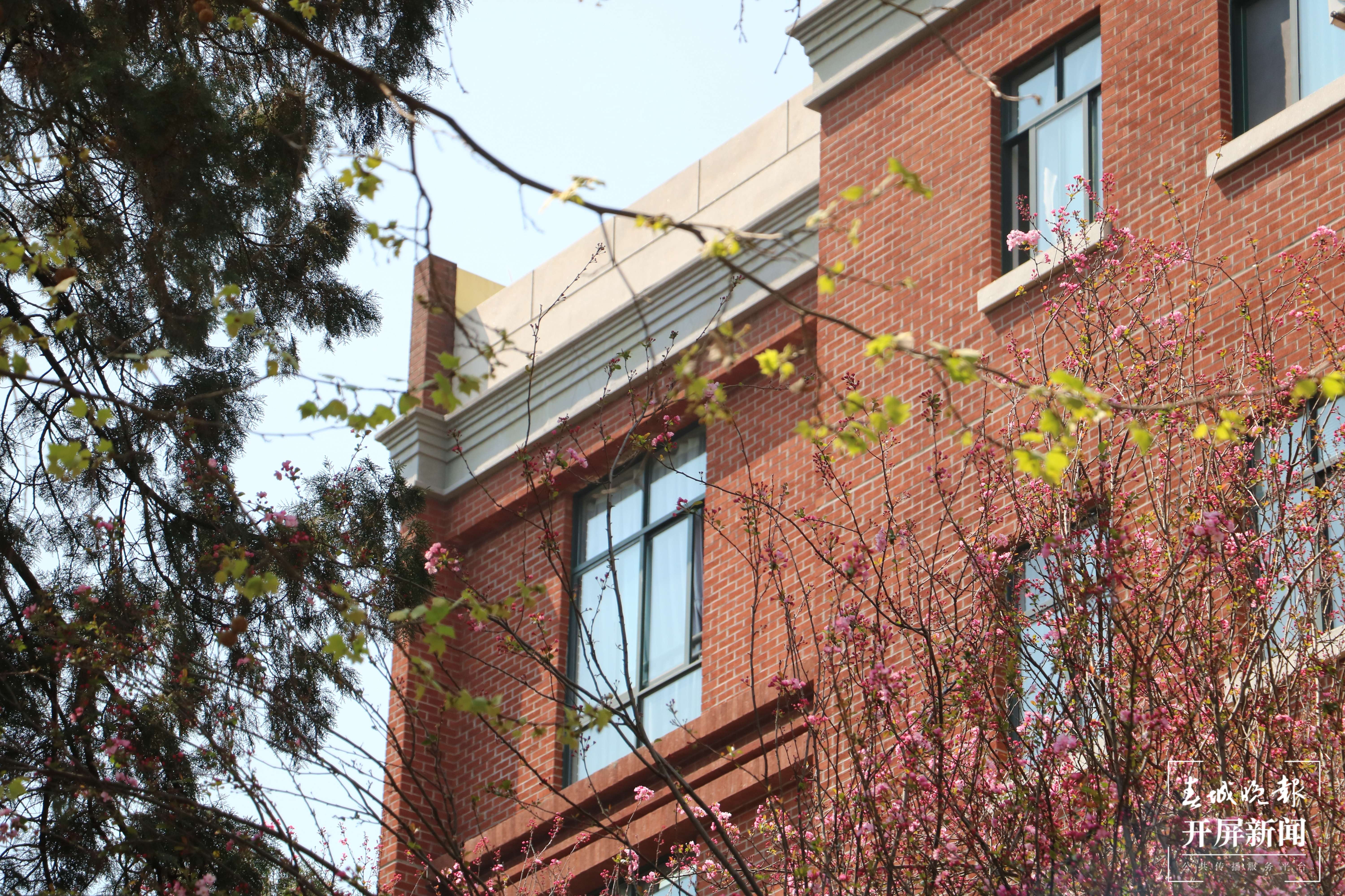 昆理工附中春色