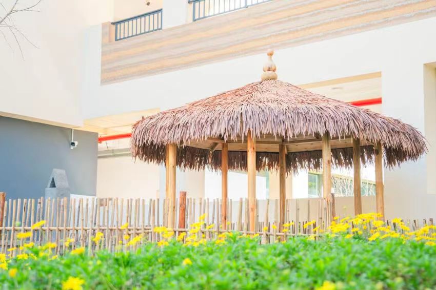 度假区二小拥金路校区春色