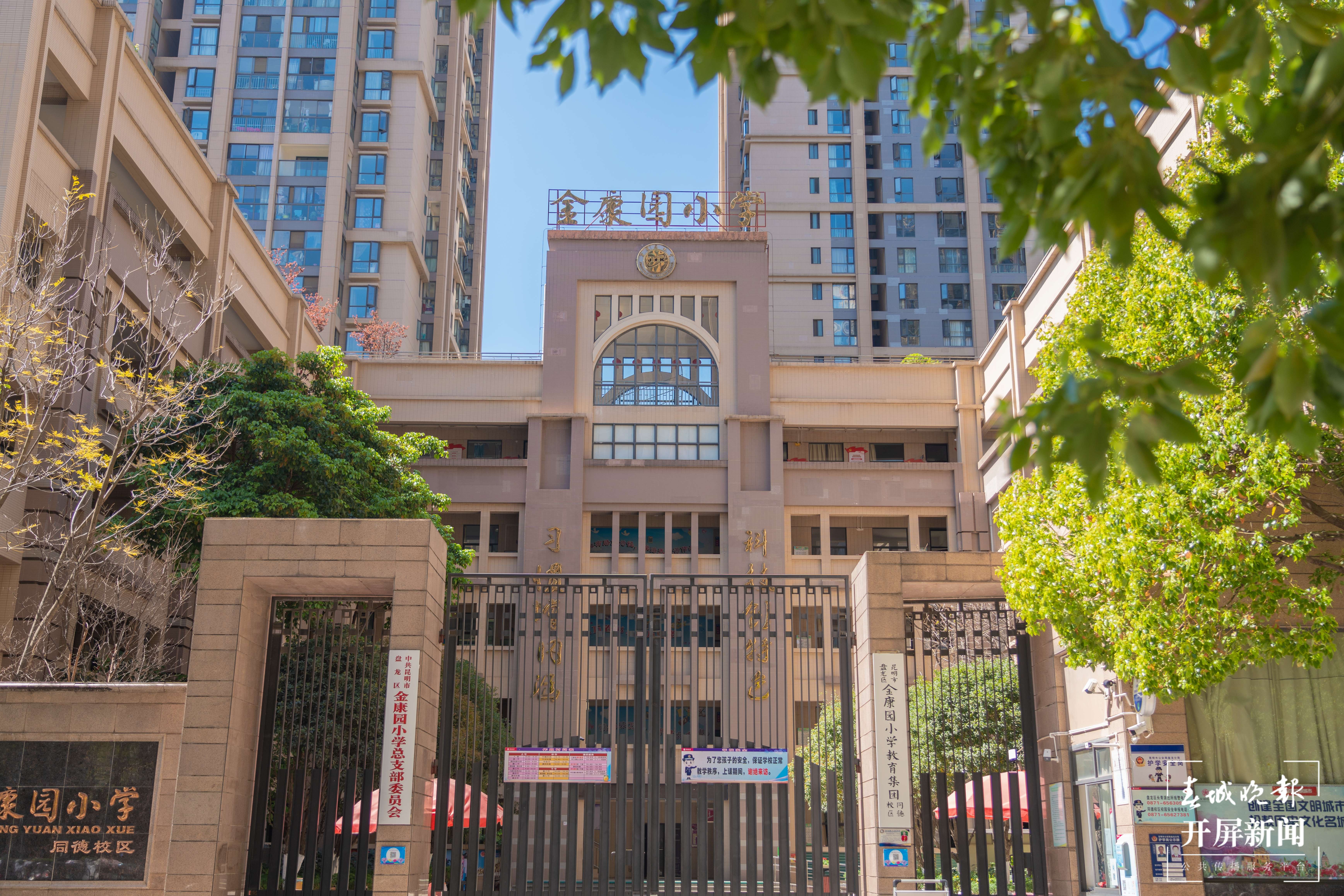 金康园小学春色