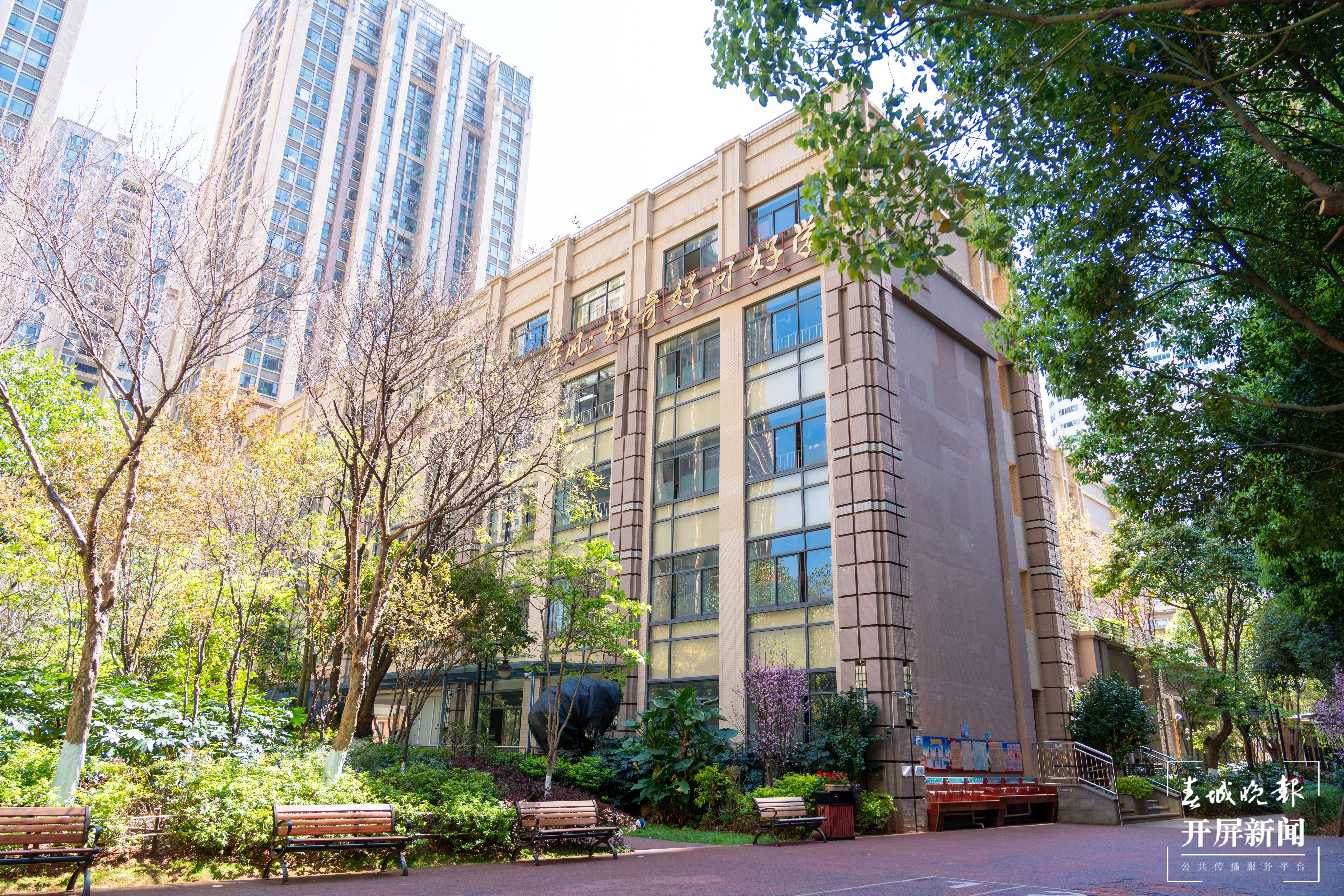 金康园小学春色