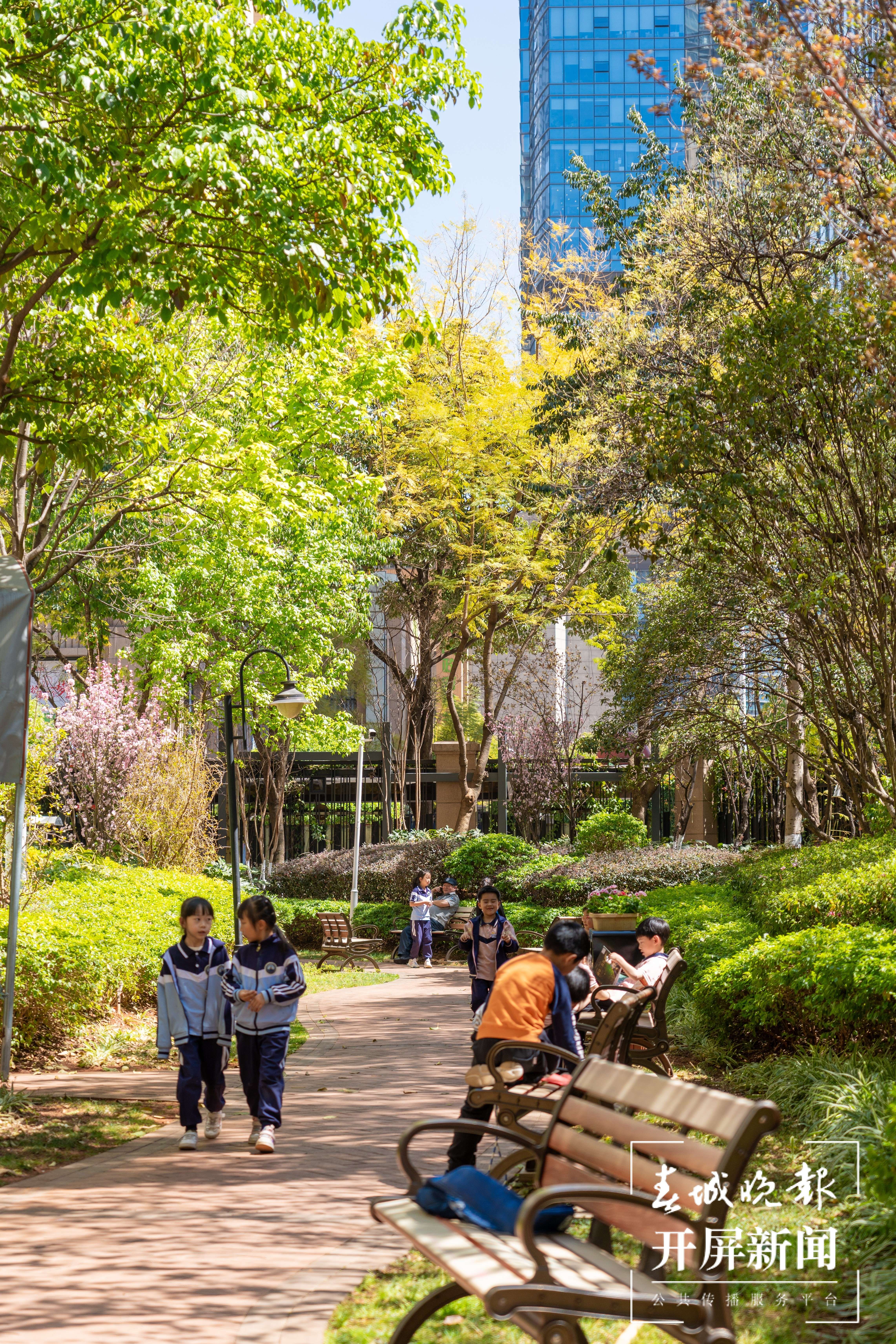 金康园小学春色