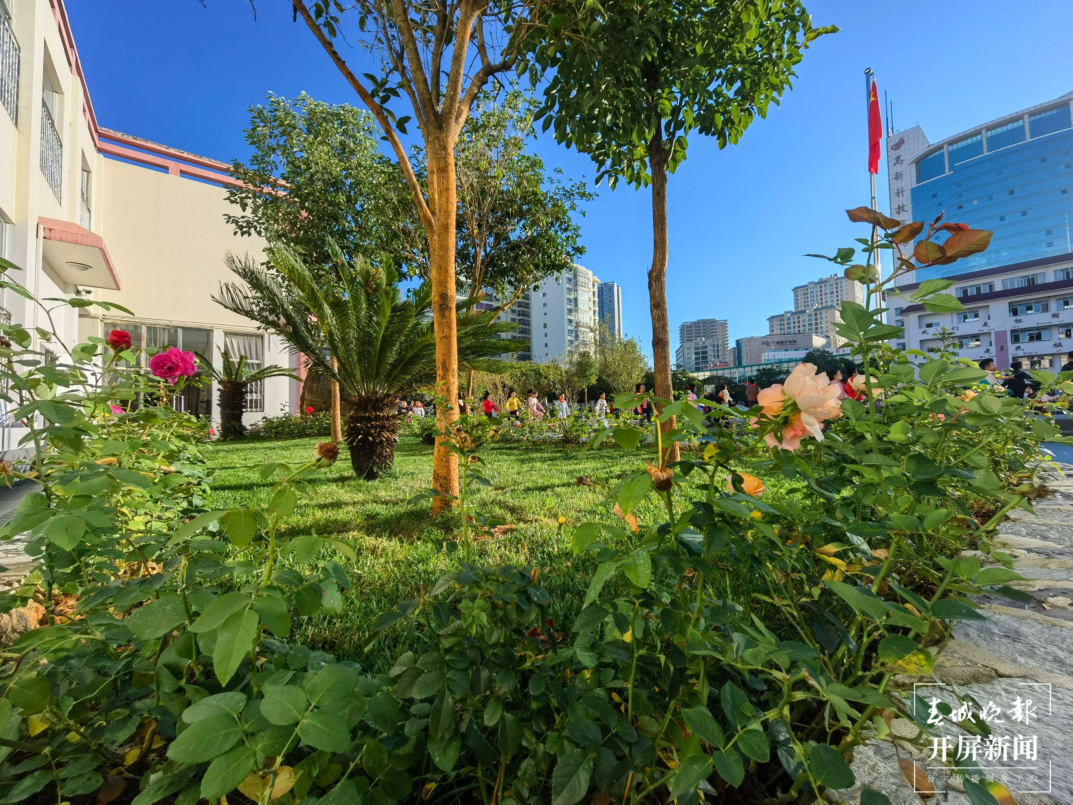 高新一小科医路春色