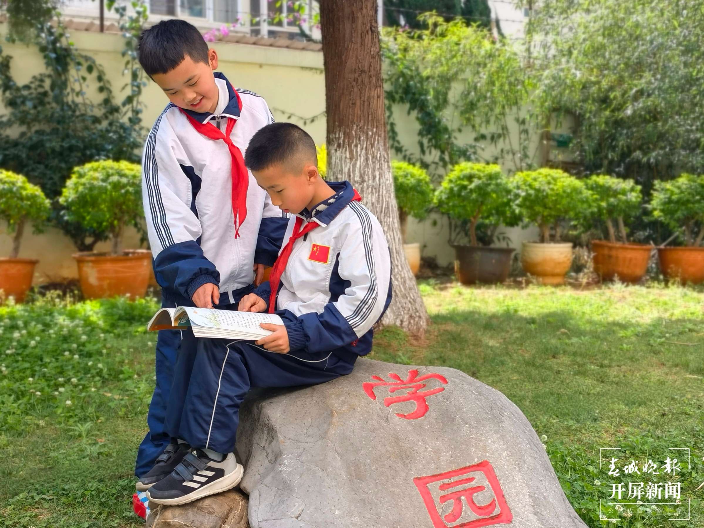 高新一小科医路春色