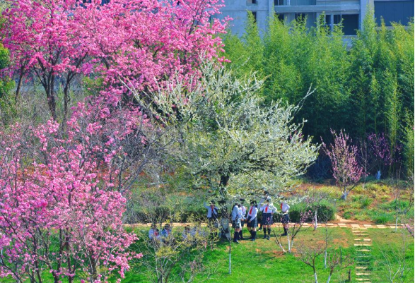 云大附中呈贡中学