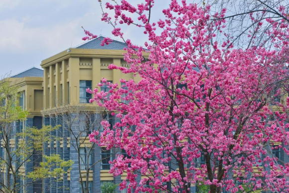 云大附中呈贡中学