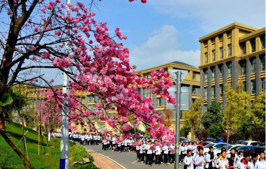 云大附中呈贡中学