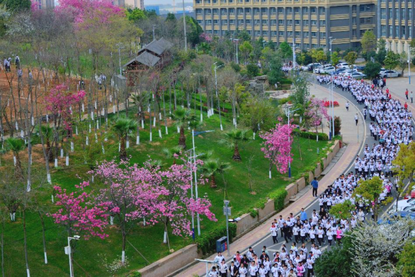 云大附中呈贡中学