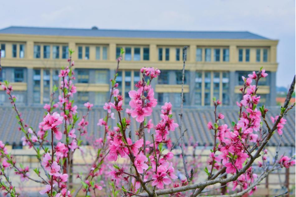 云大附中呈贡中学