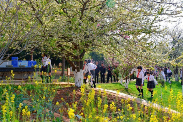 云大附中呈贡中学