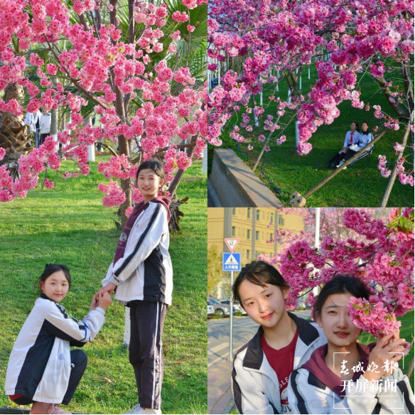 云大附中呈贡中学