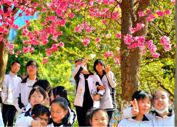 云大附中呈贡中学