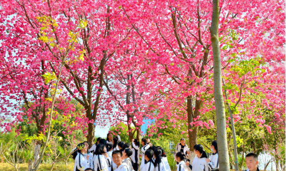 云大附中呈贡中学