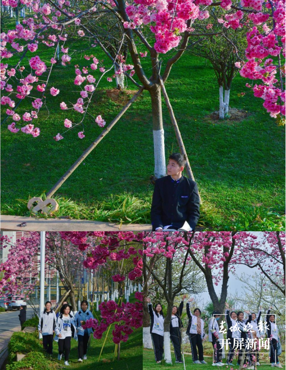 云大附中呈贡中学