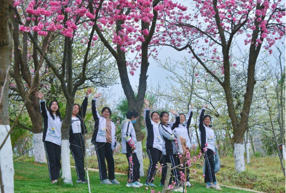 云大附中呈贡中学