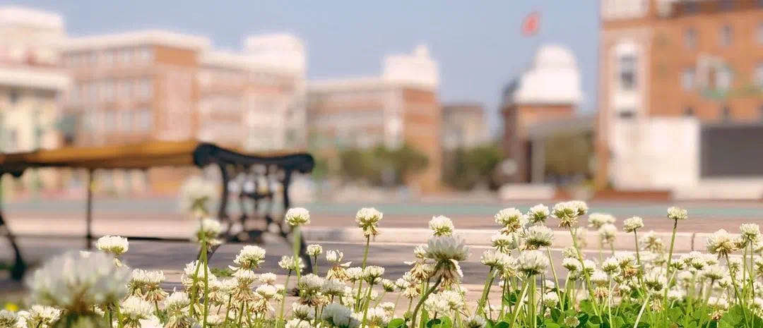 云大附中星耀学校：春天是期许未来的起点