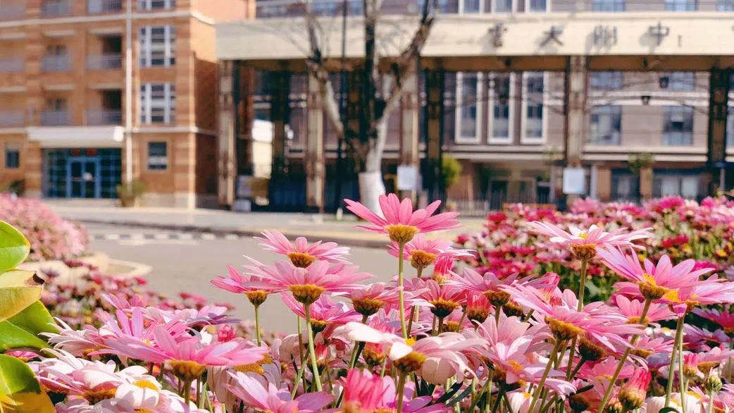 云大附中星耀学校：春天是期许未来的起点