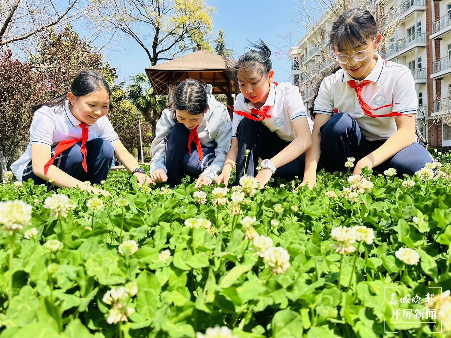 云大附中星耀学校：春天是期许未来的起点