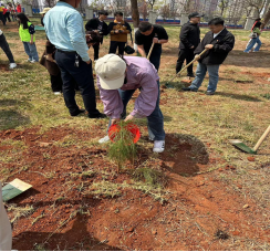 云南工商学院经济与管理学院开展“春风十里 护绿有你”植树活动31.png