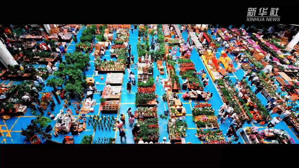 超美混剪:什么是“有一种叫云南的生活”?这就是!